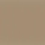 Exterior Trim Package - Khaki Brown