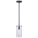 Matte Black Joni Stem Light